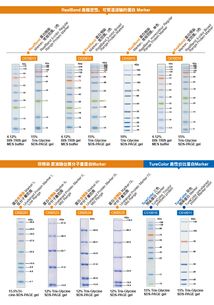 生工生物蛋白marker加強(qiáng)版限時(shí)促銷——優(yōu)質(zhì)生命科學(xué)產(chǎn)品與技術(shù)服務(wù)助力科研創(chuàng)新